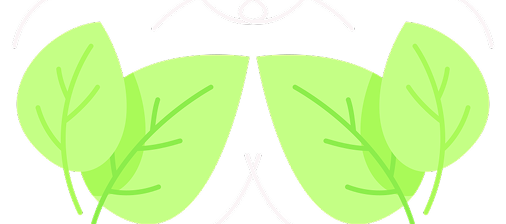 Vedieco Logo